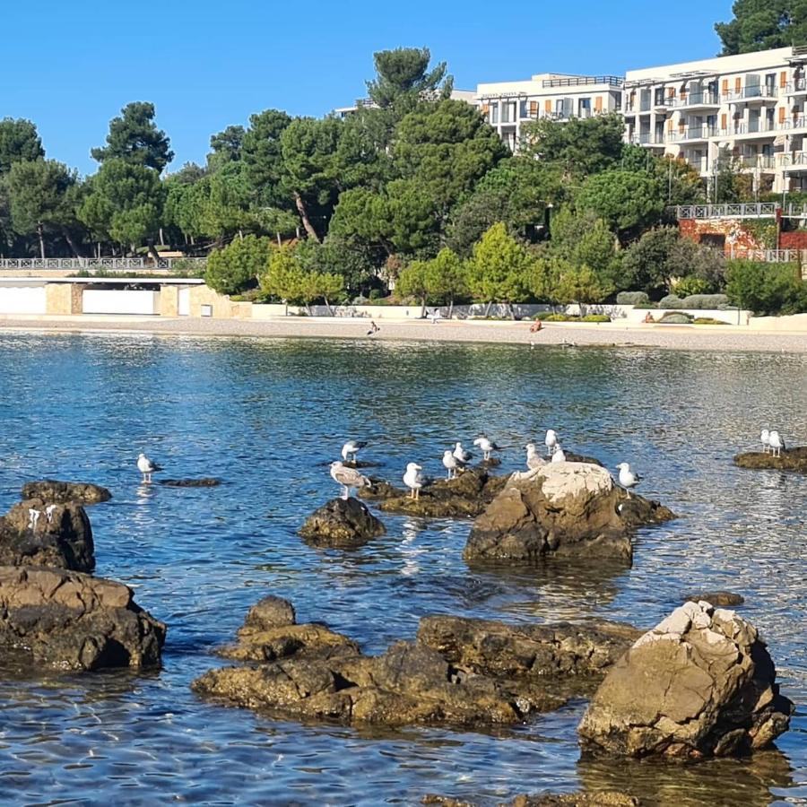 Vila Tena Rovinj Croatia المظهر الخارجي الصورة