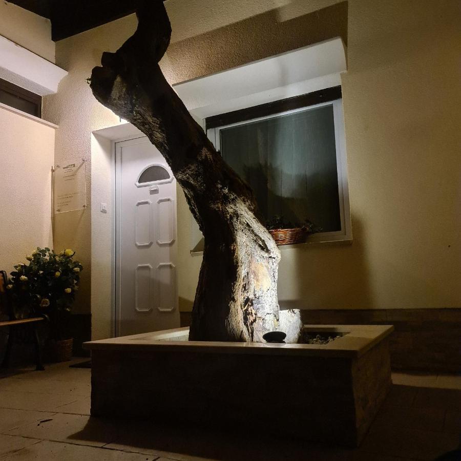 Vila Tena Rovinj Croatia المظهر الخارجي الصورة